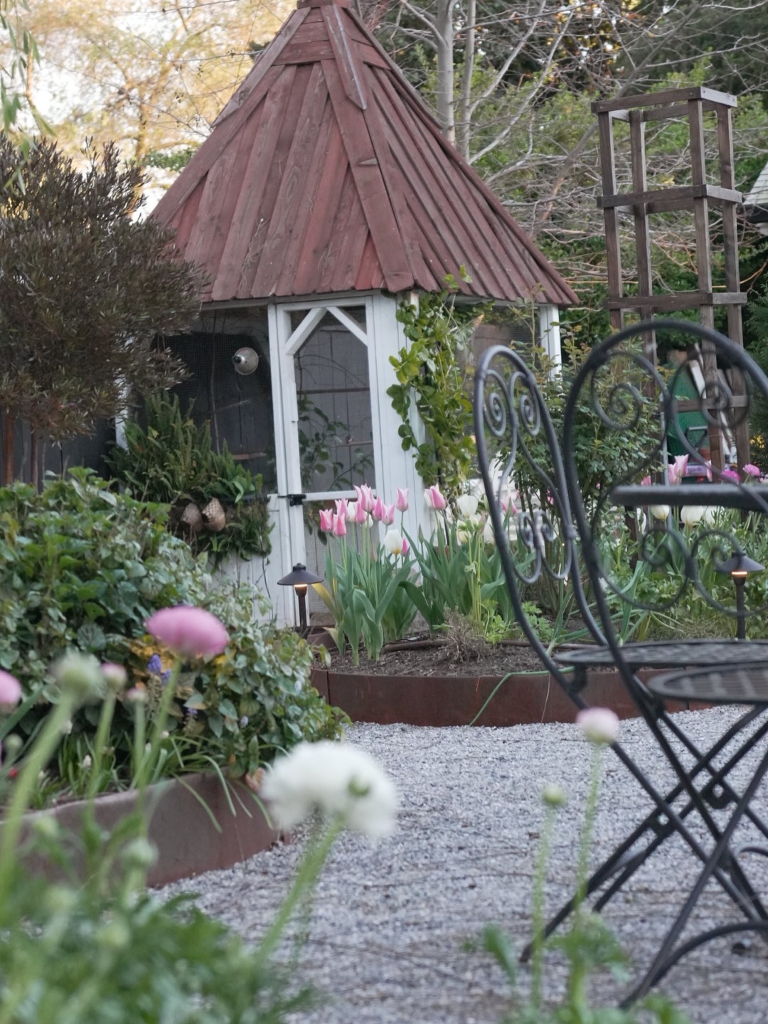 The garden as of last night. What a treat it was to walk the garden yesterday and see so much in bloom.
From @colorblends
Tulips: Sanne & White squared
Daffodils: Pink Charm & Avalanche
From @edenbrothers
Ranunculus: Paris in spring
Greenhouse: @bc_greenhouses