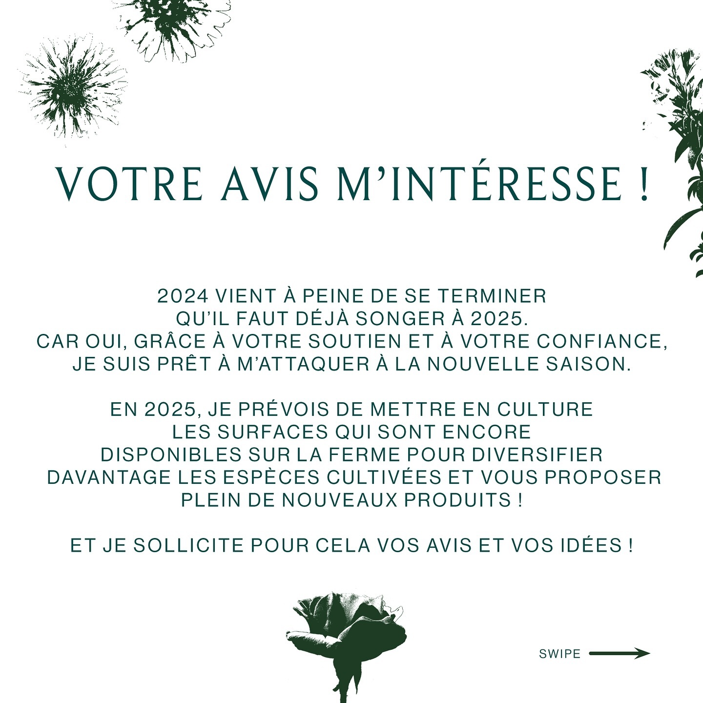 À vos commentaires ! Je compte sur vous pour enrichir d’idées la futur production Merveilles des Cimes de la saison 2025 ! ✨🤍
Swipez pour en savoir plus ->