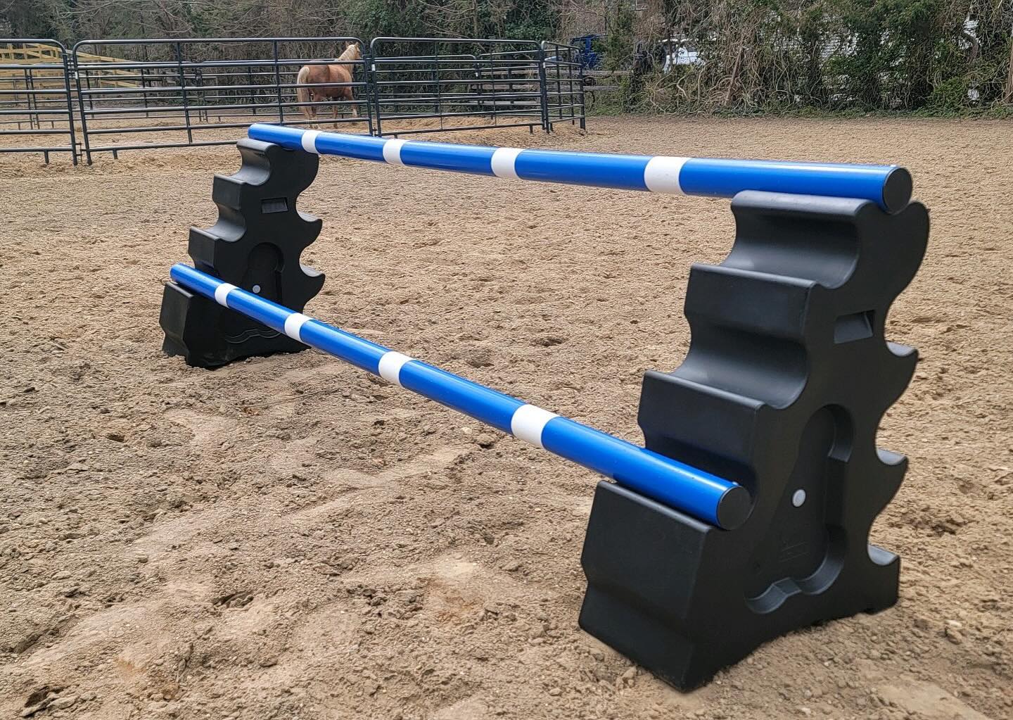 Absolutely thrilled with the outcome of these jumps! 🌟 Calling all locals gearing up for the season: Reach out to us, and let's tailor a package just for you!
#horsejumping #horseshow #showjumping #horse #horseriding