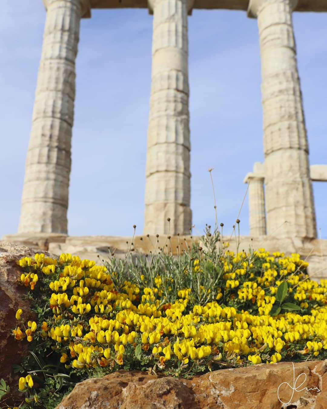 🏺🏛❗ Today is officially the first day of Spring 💙💚💛 and I would like to present to you the Temple of Poseidon (440 BC) with all of the surrounding hills adorned with wildflowers! 🌍Strength and courage to all of you and especially to our Italian 🇮🇹 brothers 💪 who in this grave time have displayed their fortitude & ethos!
◾◾◾
❗Date of Visit: Mar 6, 2019
Weather Conditions: Just as the news about the coronavirus were getting worse I was able to make a final escape to Sounio on a sunny day! The site was overrun by international high school students who seemed especially happy to have this adventure in the midst of the coronavirus crisis! The quarantine in Greece started a few days later.
◾◾◾
#wanderlust #picoftheday #photooftheday #architecture #arch #greektemples #ig_greece #athens #travelblog #travelgram #letsgo #goexplore #travelphotography #discovergreece #greekbloggers #greecelover_gr #greece_all #feelgreece #greece_united #greecelovers #view #adoregreece #sea #greecetravelgr #greece_moments #sounio #reasontovisitgreece #poseidon #acropolis #parthenon