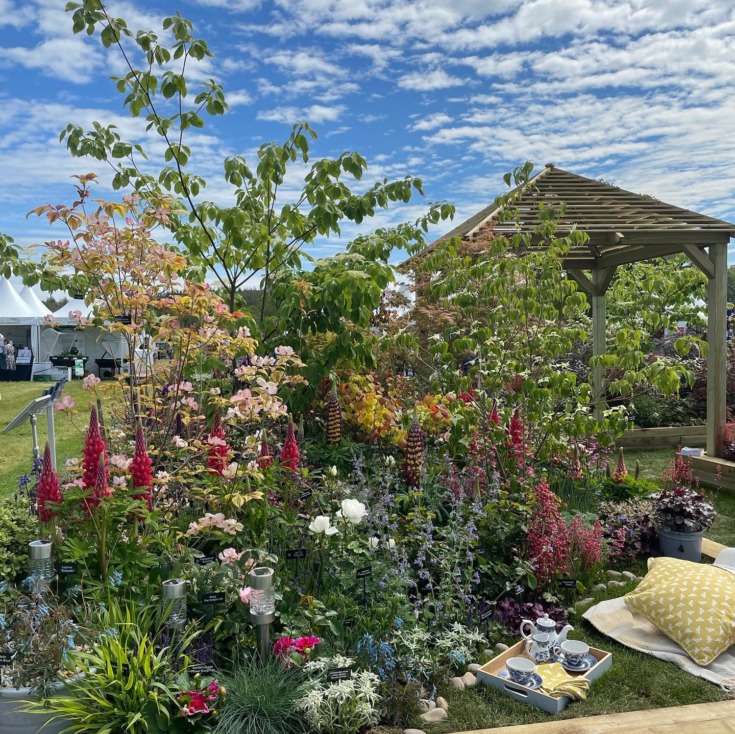 We were lucky enough to have tickets to the @bbcgwfair at @national_motor_museum today!
The weather was perfect and the plants were simply gorgeous πΊ
We also got to look around the grounds of Beaulieu, as well as visiting the famous motor museum. Not sure how weβve lived here so long and never been before!
What a wonderful day!