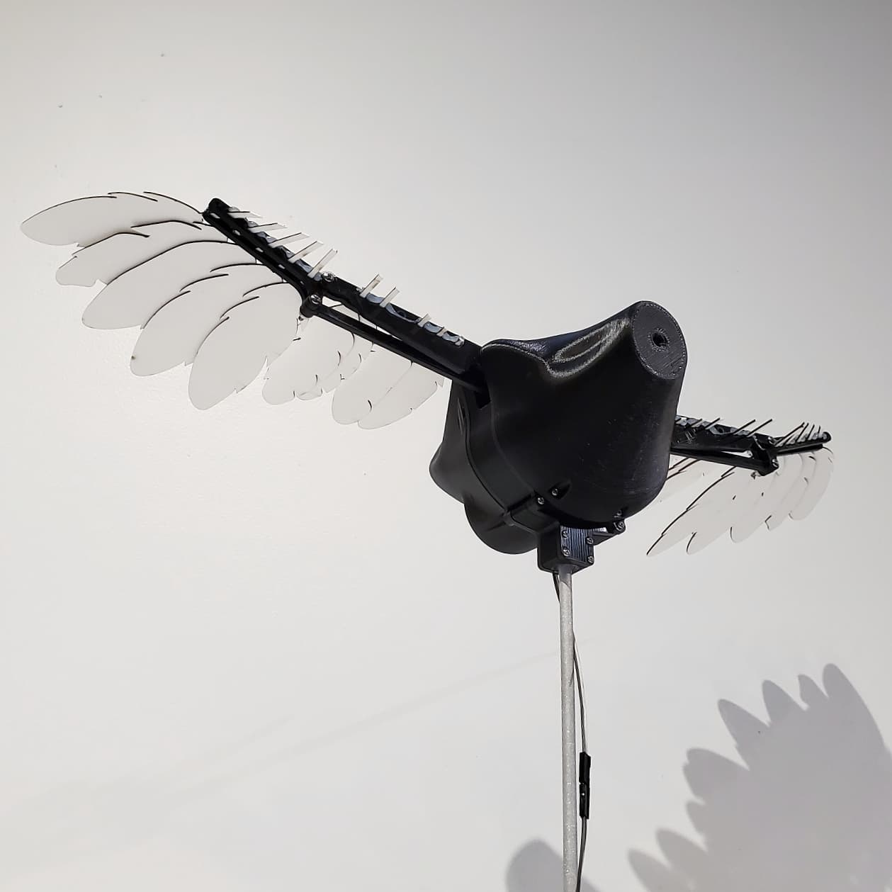 Flying chicken. Now with shorter wings and temporary feathers.
#3dprinting #anamatronic #birds