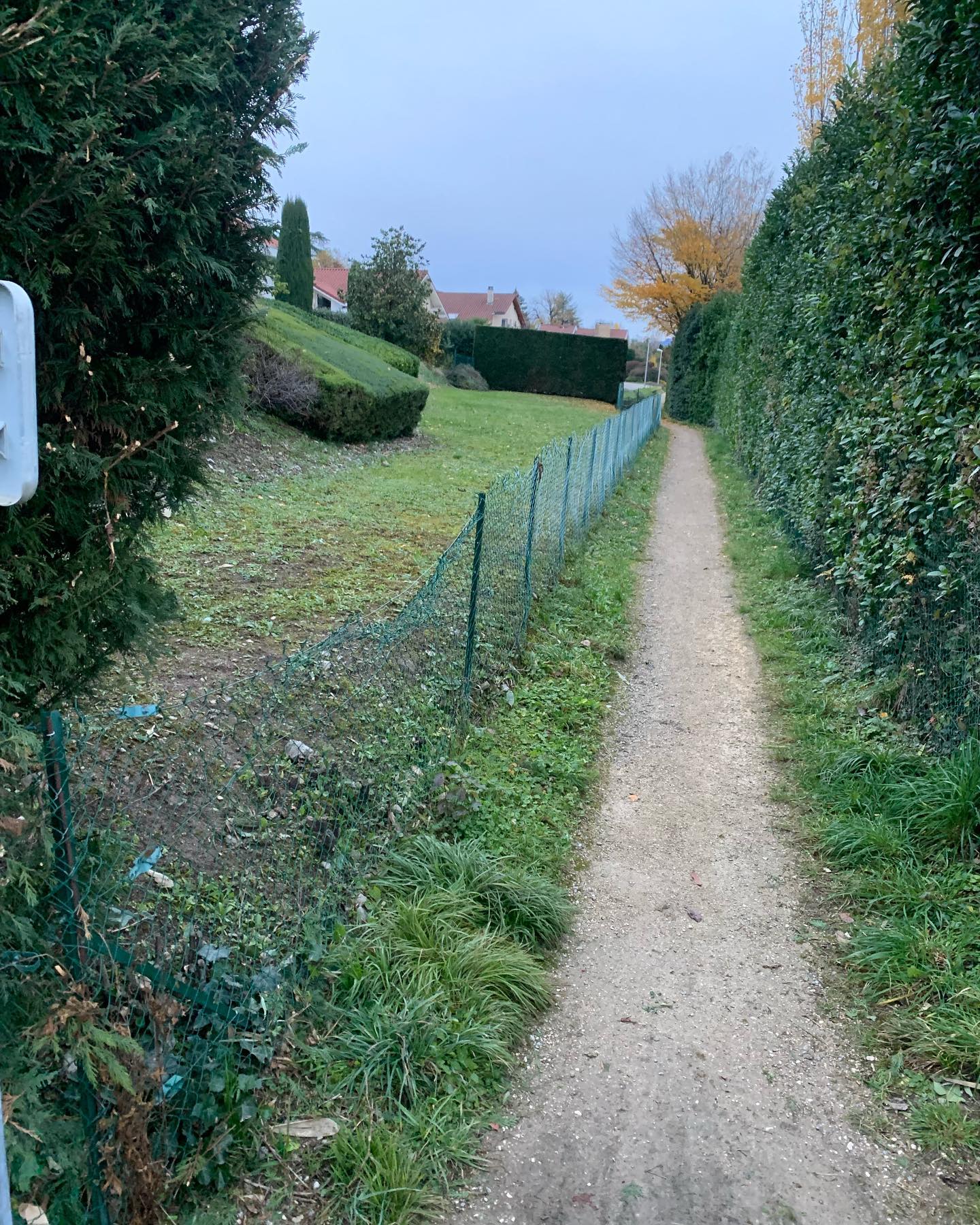 🚧 Remplacement d’une clôture souple par une nouvelle clôture rigide ! Merci à mes clients pour leur confiance 📸