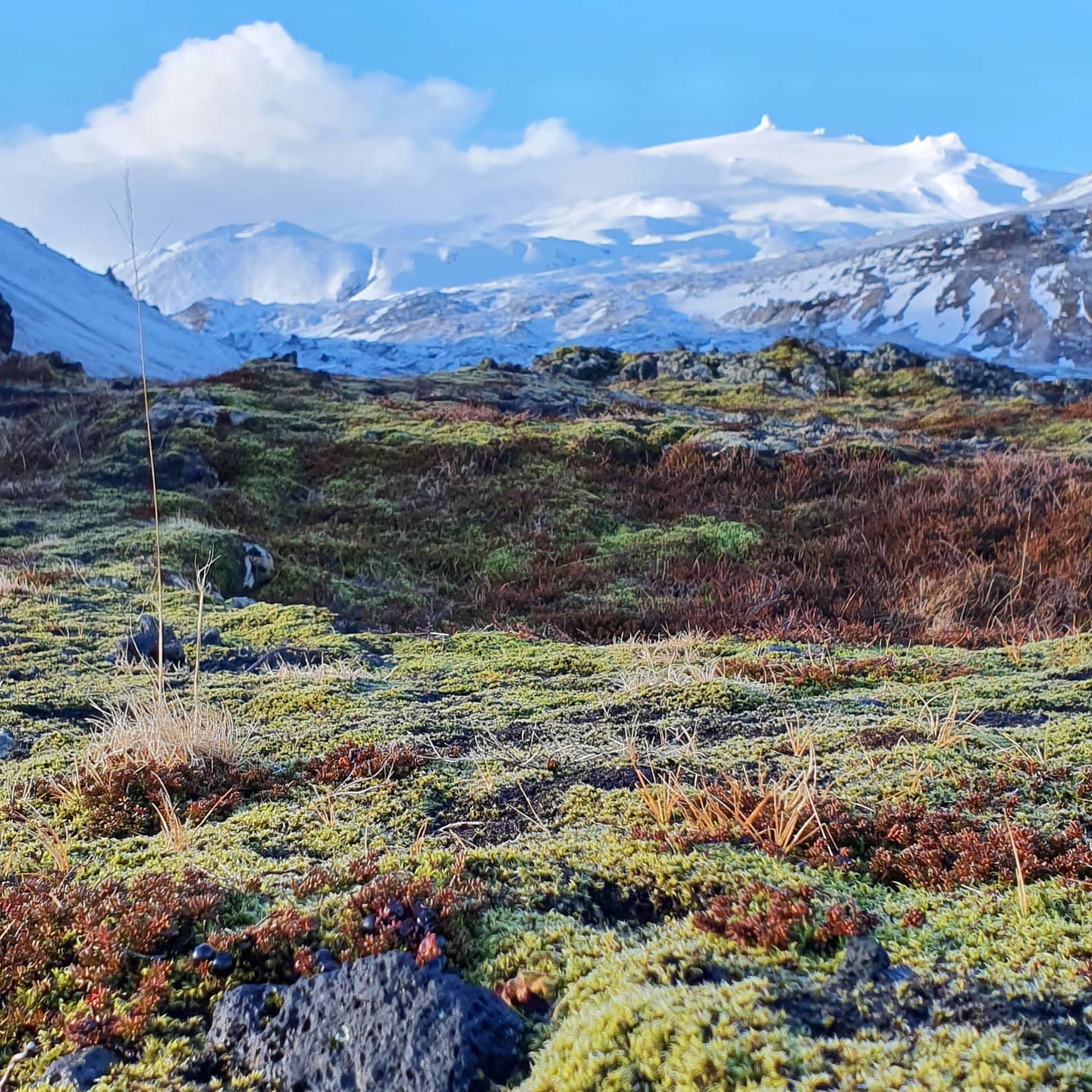 West Iceland - Snæfellsnes 🇮🇸
Snæfellsjökull National Park is located at the edge of Snæfellsnes in the West part of the country. It is about 170 km2 and the first national park to stretch from the top of the mountain and all the way down to the ocean.