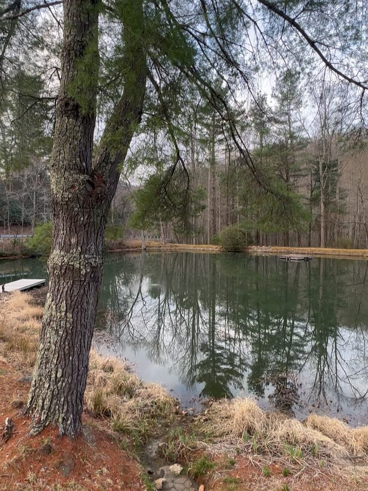 Sounds like spring.
#dogfriendly #travelwithdogs #retreat #spring #getaway