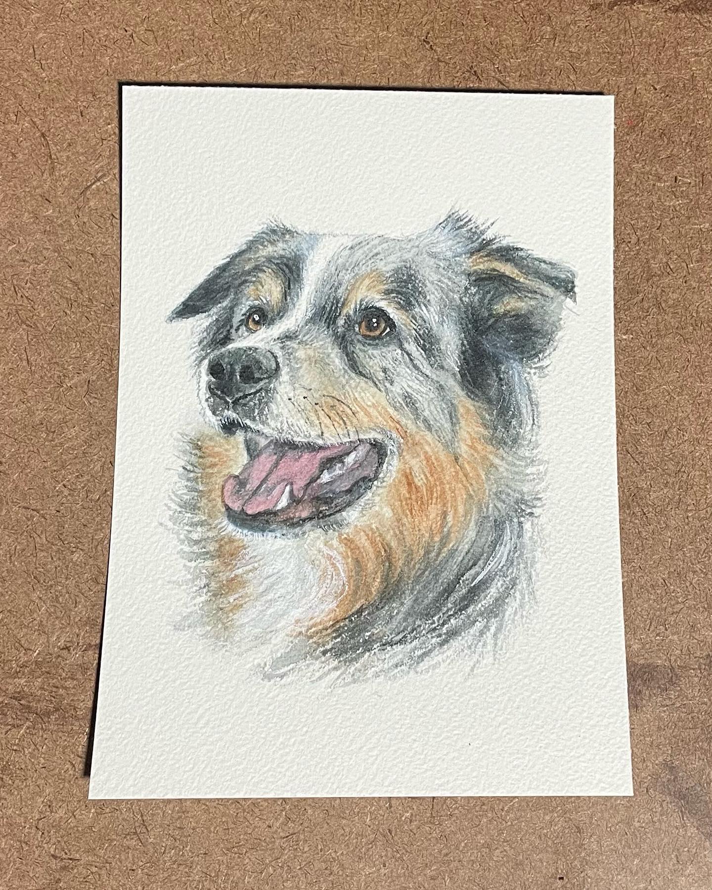 It’s amazing how much love, joy, and laughter dogs bring into our lives ❤️
#watercolorpetportrait #watercolor #petportrait #dog #doglifestyle