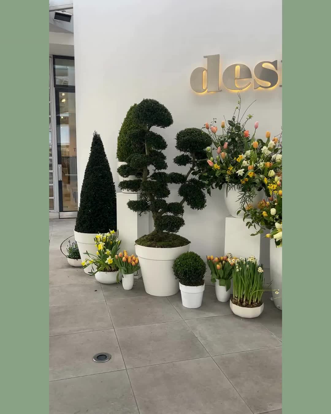 An inspiring day at London Design Week catching up with suppliers showing me their new collections, listening to presentations from fabulous desingers and researching fabrics and trims for new clients.
Highlights: Kit Kemp @kitkempdesignthread chatting with Ann Grafton & Jo Bailey about the inspiration behind her new collection for @gpjbaker and @ottolinedevries discussing how she plays with pattern & colour and with a wonderful new collection too!
#londondesignweek2026 #tootingnewsie #interiorinspo #balhamnewsie #softfurnishing #southlondon #softfurnishings #balhammums #southwestlondonmums #tootingmums #balhamlife #curtainmaker #maker #balham #wandsworth #romanblind #makers #localmakers #localmaker #romanblinds #earlsfield #curtains #windowtreatments #fabricsuppliers #tradeshow #tradeshows #tradeshowlife