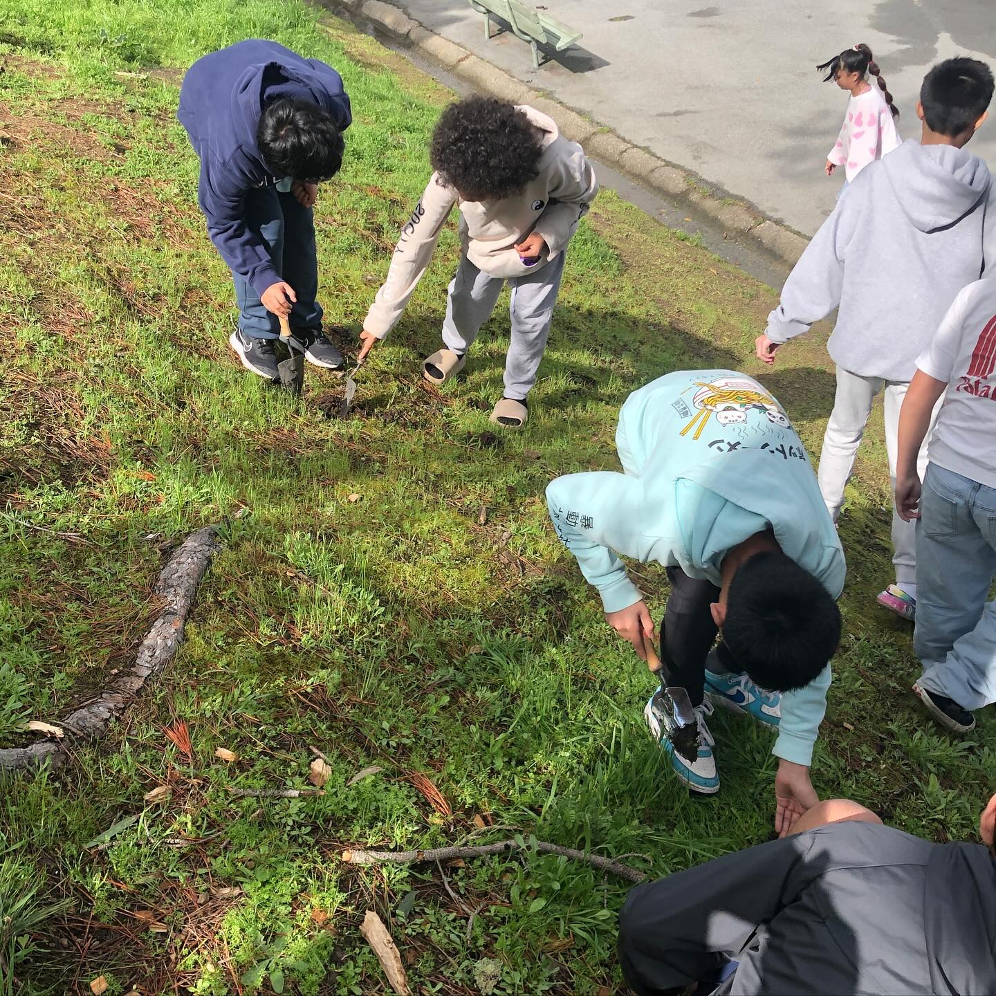 Earlier this year, our Summit Shasta team @shastaenviclub presented to the 6th grade classes at Lipman Middle School. After learning about how climate change threatens biodiversity, we planted California Melicgrass on the hillside of San Bruno Mountain!
