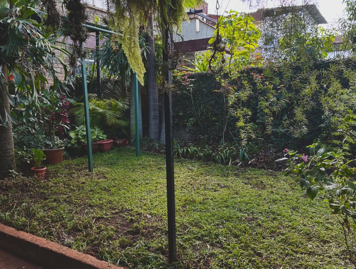 It’s absolutely vital to give your garden a boost from every few months 🪻🌾🌿🐝
This space is evolving with the seasons. We’ve fully tidied the borders, replanted and repositioned the plants we wanted to keep, trimmed back a few layers, and added new ones, pollinator friendly flowers and ground covers to enrich the diversity.
We also elevated the entire area with manure and compost, bringing life back to the grasses and soil.
Now, with the rains arriving, everything has the perfect conditions to thrive. In a month or so, it will be beautiful to watch it all rise and fill out again.
