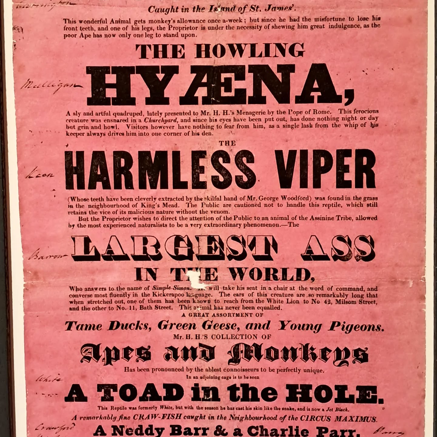Not an ad for a zoo... but politicians in 1832. Victoria Art Gallery exhibition in Bath. #visitbath #victoriaartgallery #victoriaartgallerybath #whatsnew