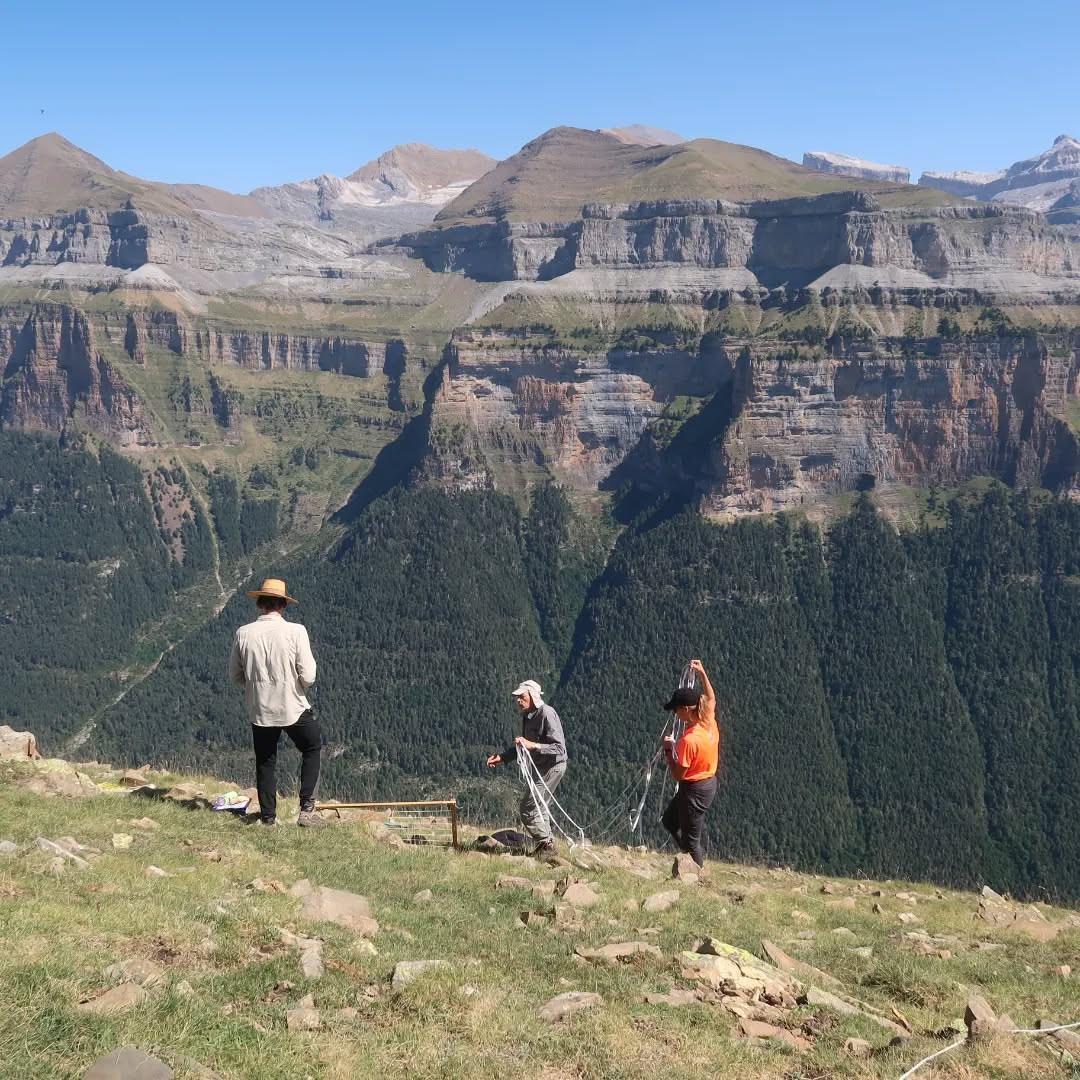 Proyecto Gloria, la Iniciativa para la Investigación y el Seguimiento Global de los Ambientes Alpinos se encontraba hoy en nuestros Miradores de Ordesa.
Es un proyecto internacional de observación a largo plazo para evaluar los impactos del cambio climático sobre la biodiversidad de la alta montaña de la Tierra.❤️🌍
#cuidemoselplaneta #cambioclimatico #gloriaworldwide #altamontaña #forestline #impactoclimático