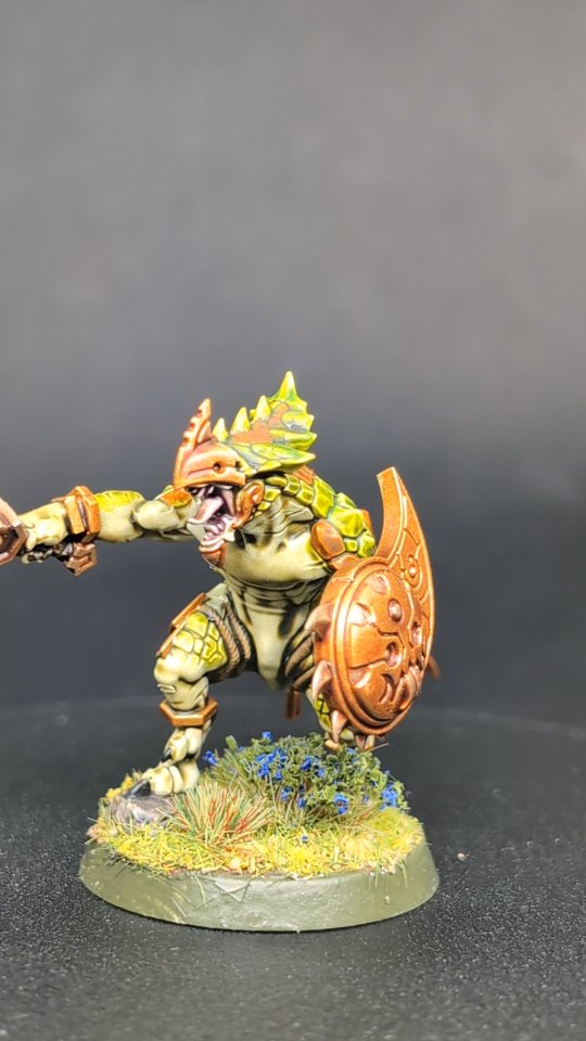 Next up on the spinning series, is this blue blooded buddy. The lizard men were one of the very first factions I painted up when I started miniature painting, as I found them to be the most unique and interesting. A number of years later, when the new modern sculpts were released, I decided it was time to revisit them; this time with a unique colour scheme. I really enjoyed working with the scales, which allowed me to give random markings across all of the models, giving them a far more realistic and natural look. I mean, imagine a world where every creature looked identical, no unique differences, trapped in uniform unison. I feel sick