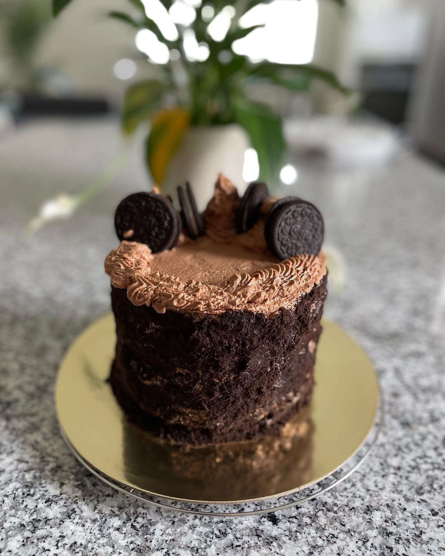 Chocolate & Oreos | Vegan Cake | #vegan