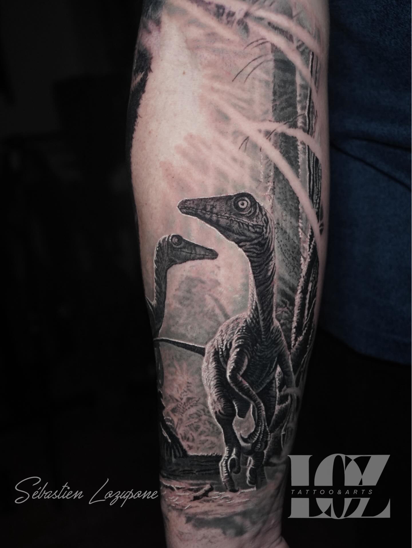𝕵𝖚𝖗𝖆𝖘𝖘𝖎𝖈 𝖕𝖆𝖗𝖐
Nouvelle pièce sur un film qui a marqué mon enfance. Un de mes meilleurs souvenirs cinéma que je ne me lasse pas de revoir régulièrement. On l’a réalisé en deux fois pour à peut près 16 h de travail.
Un projet? Contactez moi 😉
👇
💻 https://www.loz-tattoo.com/
☎️ : 0602536626
#tattoo #sébastienlozupone #tatouage #jurassic_park #inktattoo