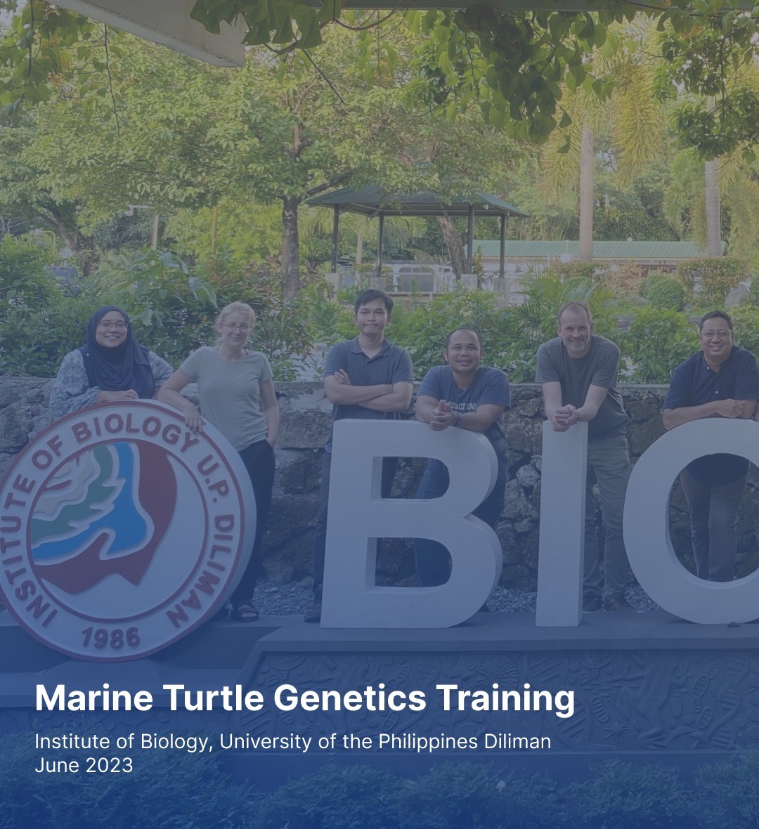 Determining the stock structure of marine turtle nesting assemblages, defining conservation units, characterizing broad-scale movement patterns, assessing the exposure and risk of in-water threats like fisheries bycatch and direct capture, tracing the origin of products in the illegal wildlife trade, and identifying areas where local populations of marine turtles are concentrated are just a few of the many aspects of marine turtle conservation management that can benefit from genetic studies. Therefore, local and regional genetic research is essential for the efficient management of marine turtles.
2023 Marine Turtle Genetics Training was held in Manila, Philippine to support genetic research for turtle conservation, especially for the Southeast Asian region.
We are really glad to finally meet in person with some colleagues in this training, also connected with some new friends in the Asia-Pacific Marine Turtle Genetic Working Group (APMTGWG).
A massive thank you to LAMAVE and UP Diliman for facilitating this insightful training!
—
Website oceanogen.com
Email contact@oceanogen.com
Instagram @oceanogen