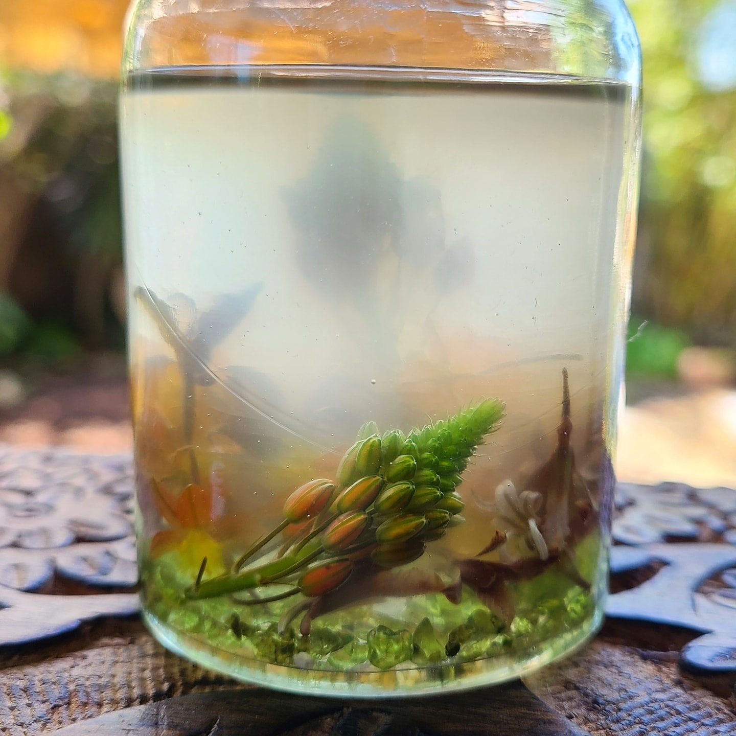 This will be a new way of honoring the Kingdoms of Faerie, Flower & Stone - Snow Globes 🧚💐⛰
..
..
..
..
..
..
..
..
..
..
..
..
#FlowerFaerie&Stone #SnowGlobes #NatureHealsEverything #BringNatureIn #SelfCare #SafePersonalHygiene #Organic #SmallBatch #BuyLocal #SeasonalBrightLiving #BrightLife #Colortherapy #EmotionalWellbeing #EmotionalBalance #Aromatherapy #Crystals #StoneLovers #Peridot #HeartChakra #Love #Forgiveness #FlowerEssenceTherapy #EssentialOils #Sarasota #SarasotaFlorida #SouthwestFlorida #TwelveStep #AlAnon #Meditation #ActiveMeditation