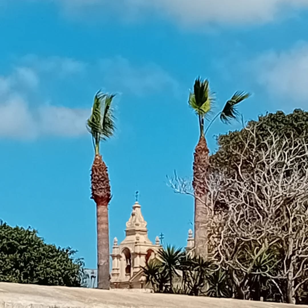 Northern Tour ... Mdina and Mgarr. Ob diese Orte auch im Krimi verewigt werden? 😎📚😍