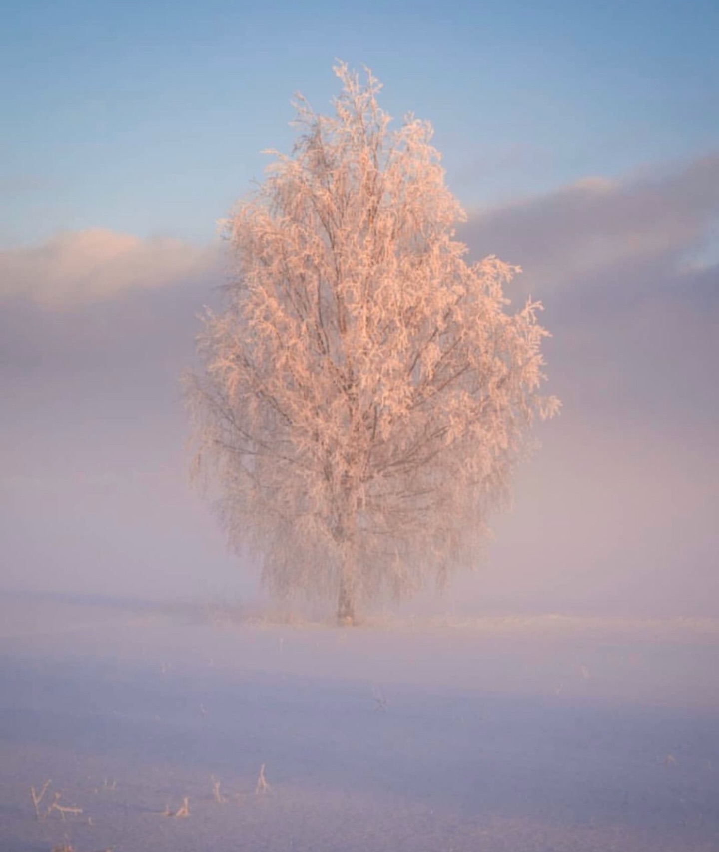 what a beautiful day
Winter silence for a healthy soul.”
wintercalm
#snowvibes
#winterwellness
#natureheals
#mindfulmoments
#freshair
winterpeace
naturetherapy
calmmind
wellbeing
naturelovers
snowday
innerpeace
healthyhabits
slowmoments