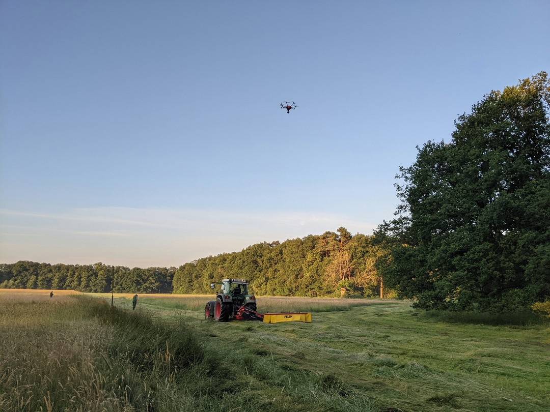 Langsam wird es ruhiger, aber die #rehkitzsaison 2021 ist in der #regionhannover noch nicht beendet! Wenn wir angefordert werden, um eine Wiesenfläche sicherheitshalber abzusuchen stehen wir nach wie vor bereit! Es gibt einige Nachzügler bei den Rehkitzen, auch wenn ein Großteil nun bereits auf den Beinen ist und alt genug um eigenständig vor dem Mähwerk zu entkommen. Dem gegenüber stehen immer noch zahlreiche Flächen, die auf ihren ersten Schnitt warten.
Heute in Isernhagen zum Beispiel zwei recht kleine Flächen, die aber rundherum bewachsen sind. Um das Risiko zu minimieren, dass Kitze in die Fläche laufen haben wir unmittelbar vor der Mahd abgesucht und sogar währen des Mähens noch die Ränder aus der Luft überwacht. Außer einer frischen Liegestelle konnten wir keinen Fund vermelden, aber es gab auch keinen Verlust. Sicher ist sicher! 👍 Vielen Dank an die Landwirte und Jäger für ihr Vertrauen in uns!
#rehkitzretter #rehkitzrettunghannover #rehkitzrettunglangenhagen #kitzsuche #drone #wärmebilddrohne #tierschutz #Wildtierschutz