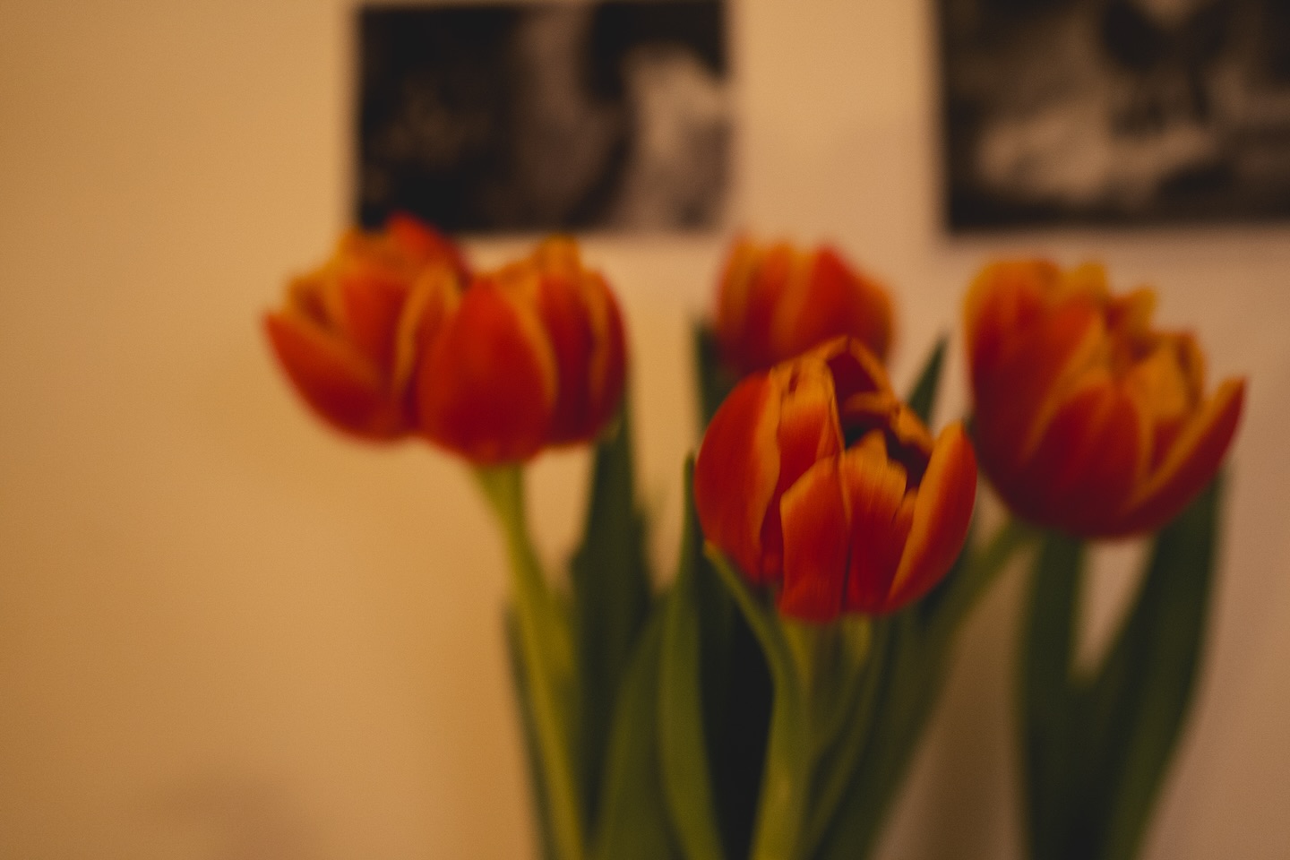 S’offrir des fleurs et se voir offrir des plantes 💐🪴