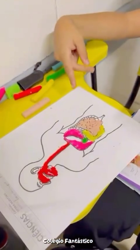 🧠✨ Aprender na prática faz toda a diferença!
A aula com o 5º B foi simplesmente incrível! Utilizamos massinha de modelar para construir o sistema digestório, transformando a sala em um verdadeiro laboratório de descobertas.
De forma prática, criativa e divertida, os alunos foram montando cada parte do sistema enquanto discutíamos suas funções. Assim, o conteúdo ganhou forma, ficando mais concreto, visual e fácil de compreender.
Momentos como esse mostram que aprender pode ser leve, significativo e cheio de curiosidade. 💚📚
Aqui, o conhecimento ganha vida nas mãos dos alunos!
#Ciências #AprendizagemCriativa #SistemaDigestório #AulaPrática #EnsinoFundamental AprenderFazSentido
