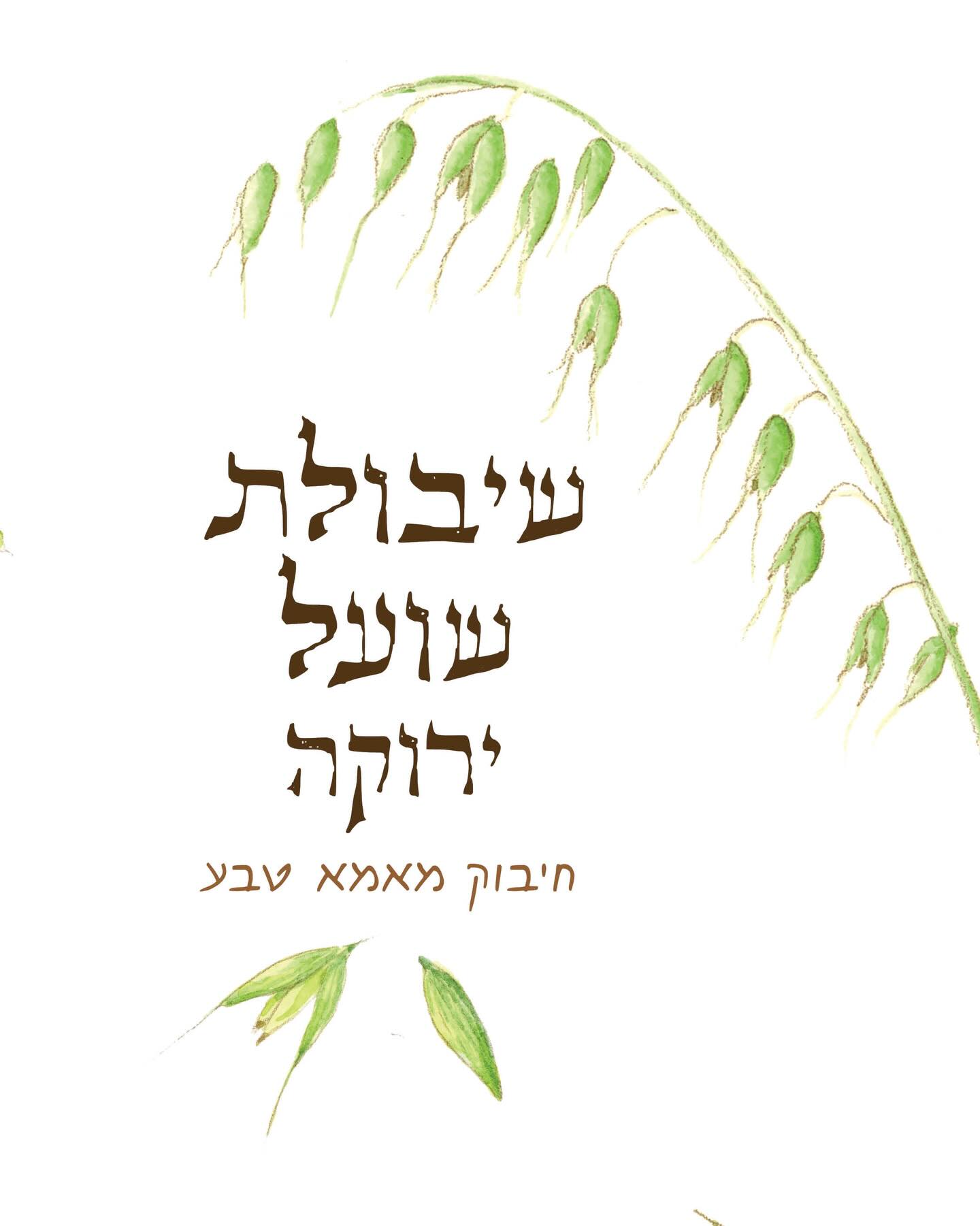 שיבולת שועל היא אחד הצמחים המופלאים שיש עכשיו בטבע.
היא נמצאת בכל מקום: בשדות פתוחים, בצדי דרכים ואפילו בריבוע האדמה שליד הבניין.
ובעונה הזו, כשהיא עדיין ירוקה, אבל מלאה בחלב, היא אחד מהצמחים העוצמתיים ביותר שיש.
אפשר להשתמש בה טריה, ישר מהשדה, או לייבש ולהשתמש כל השנה.
הכנתי מדריך קצר בקרוסלה: איך מזהים את הרגע המדויק לקטוף, מה היא עושה לגוף שלנו, ואיך מכינים ממנה חליטה מרגיעה בבית.
.
.
.
.
.
.
.
.
#שיבולתשועל #שיבולתשועלירוקה #הרגעהמהטבע #אביב #ירוקומרגיע