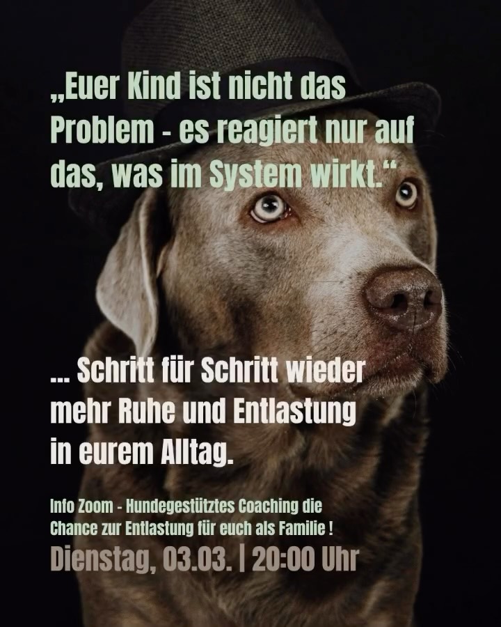 Manchmal fühlt es sich so an, als wäre zuhause einfach zu viel.
Zu viele Diskussionen. Zu viel Spannung. Zu viel Erschöpfung.
Und vielleicht spürt ihr:
Euer Kind ist nicht das Problem – es reagiert nur auf das, was im System wirkt.
✨ Schritt für Schritt wieder mehr Ruhe und Entlastung in eurem Alltag. ✨
Genau darum geht es in meinem kostenfreien
**Info-Zoom: Hundegestütztes Coaching – die Chance zur Entlastung für euch als Familie**
📅 Dienstag, 03.03.
🕗 20:00 Uhr
Ich zeige euch, wie der Hund als Spiegel wirkt, wie echte Veränderung von innen entsteht und wie Entlastung für euer Kind und euch als Familie möglich wird. 🐾
Wenn du dabei sein möchtest, schreib mir einfach kurz – ich sende dir den Link. 💛
#Kids #autismus #adhs #familie #familienalltag
