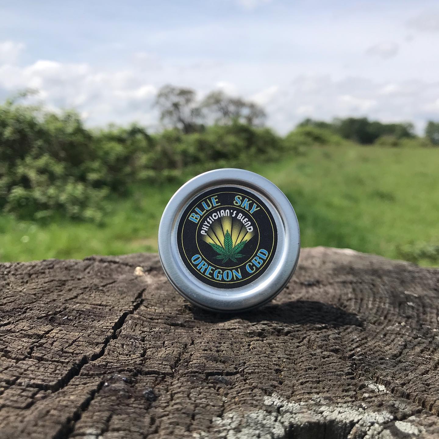 Our extra strength Physician’s Blend rub now comes in a sample tin!
The Physician’s Blend features a unique combination of CBD & CBD-a, as well as the highest total amount of CBDs of any of our salves. Visit our shop for more details.
