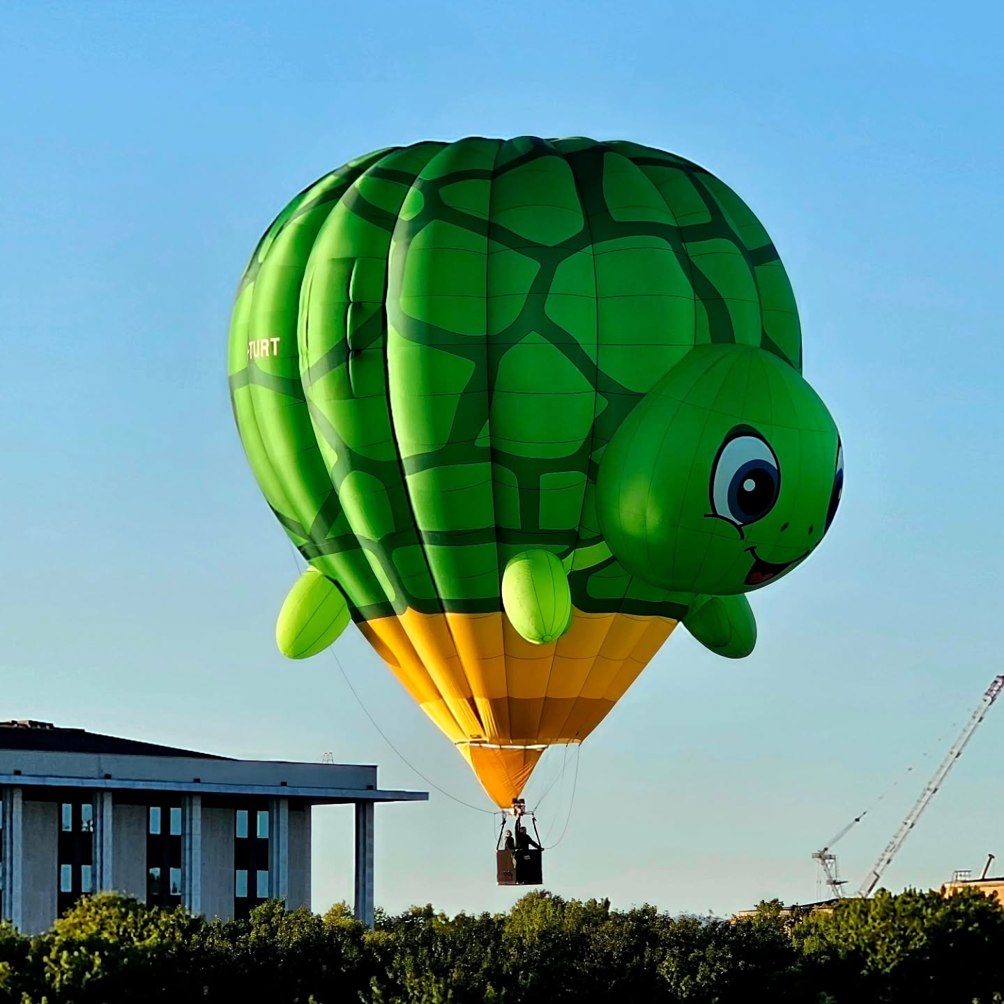 Simply magic in the Nations capital this morning. Finlay the Turtle stole the show