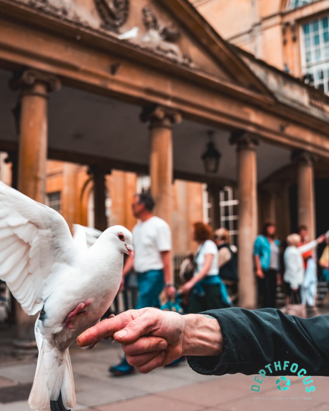 Most people walked past this moment without noticing.
A bird landing gently on a stranger’s hand.
Golden light stretching across centuries-old streets.
A quiet city revealing itself one frame at a time.
Jack spent the day wandering through Bath with nothing but a camera and curiosity.
Because the best photographs usually aren’t planned.
They’re simply noticed.
DepthFocus
Depth and focus in every frame.
📍 Bath, UK
Which frame is your favourite? 1, 2, 3 or 4?