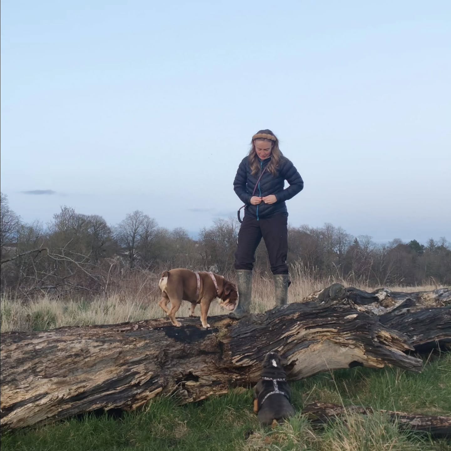 I'm a Dug Maw and it suits me just fine 💙
If I'm not in scrubs, I'm usually like this. How lucky am I to have a creature who thinks the safest place is right next to me (and Cameron obviously)
Unconditional love 🐕Tunnocks & Treacle if you don't know their names by now! (Yes, like the Teacake)
Megan x