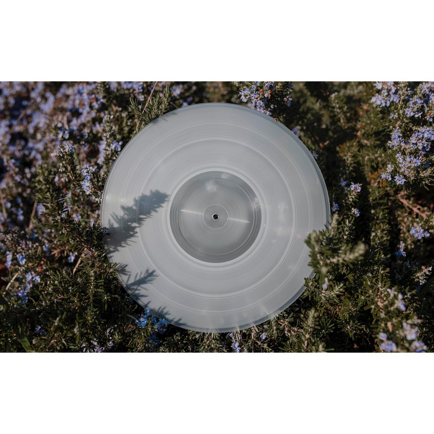 From today you can preorder my new LTD edition Vinyl EP on @foodandsoundrecords - store link on my bio 💃 🔊 🫒 ☀️