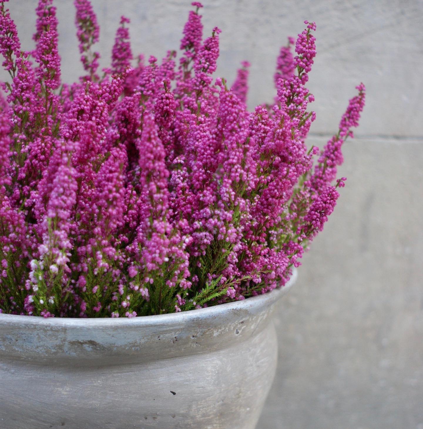 Preparando muchas cosas nuevas de cara a Navidad 💕