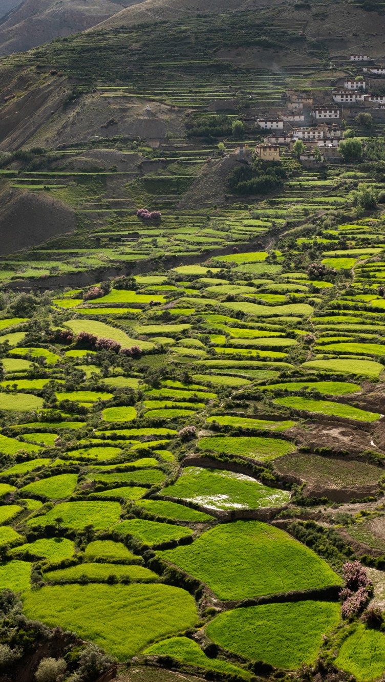The moment vs the photograph 🎞️📷
There’s something about being on the road, catching a view that makes you pull over instantly, trying to capture the raw beauty of it and finally, editing it to match how the moment actually felt.
#roadtripviews #beforeandafter #shotoncanon #editingphotos #editingmagic