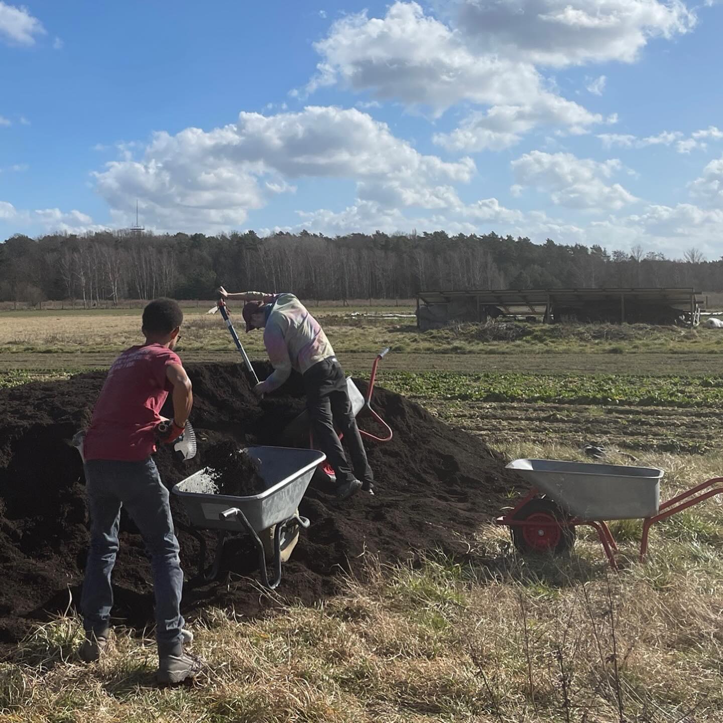 Wir wissen, dass der Frühling da ist, wenn der Kompost geliefert wird. Jetzt muss er nur noch auf die Beete gebracht werden. 💪💪#starkesgartenteam #kompost #solawi #frischesvomfeld #frühling
