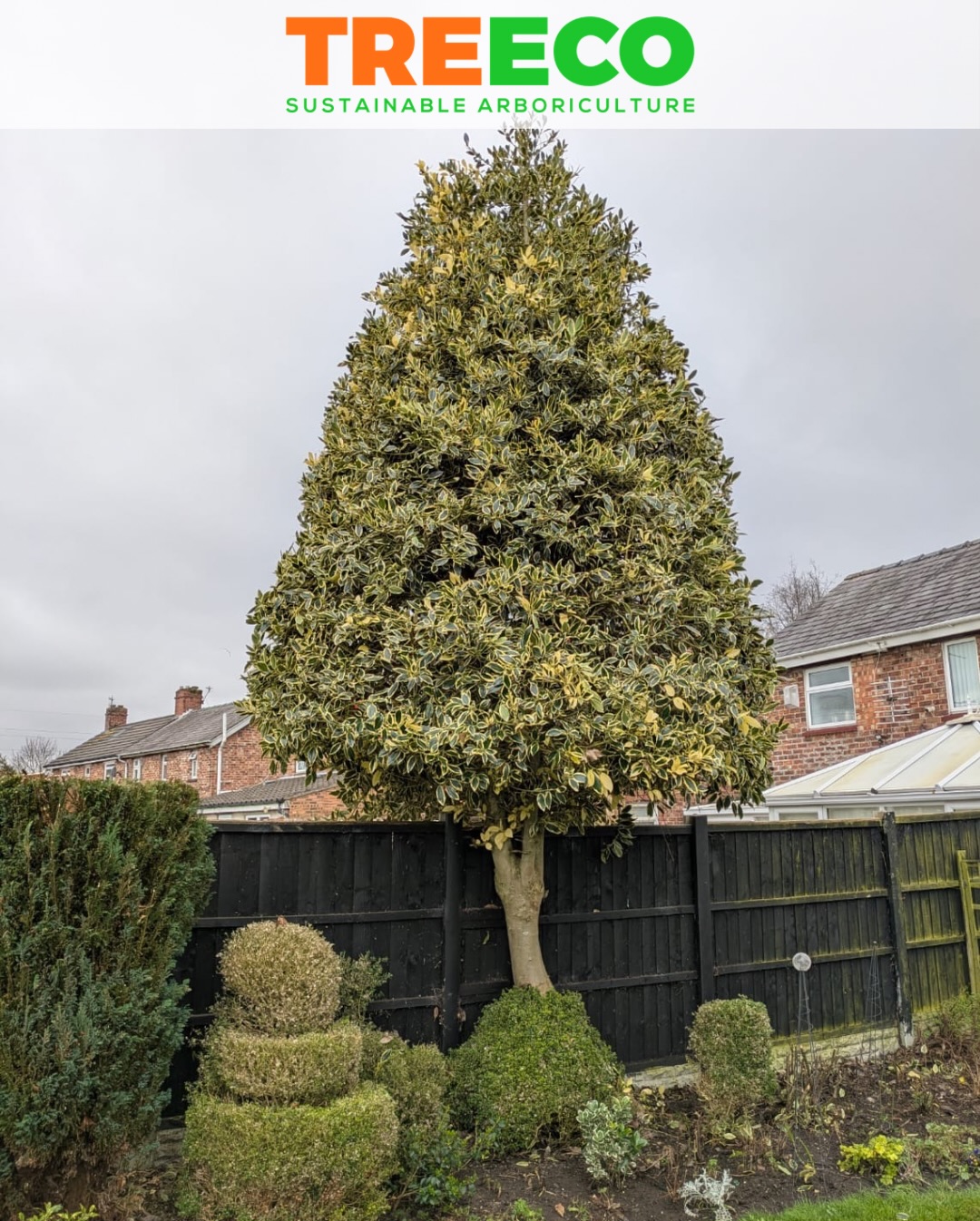 Another garden transformation completed by the TREECO team 🌳
This project involved selective pruning and maintenance as per the customer’s direction, helping improve the structure, light penetration, and overall appearance of the trees while maintaining the natural character of the garden.
At TREECO we believe arboriculture should be sustainable, precise, and respectful to the landscape — helping trees and gardens flourish for years to come.
If your trees need professional care, we’re here to help.
📍 Professional tree care
🌿 Sustainable arboriculture
🪵 Domestic & commercial work
📩 Get in touch for a free quote.