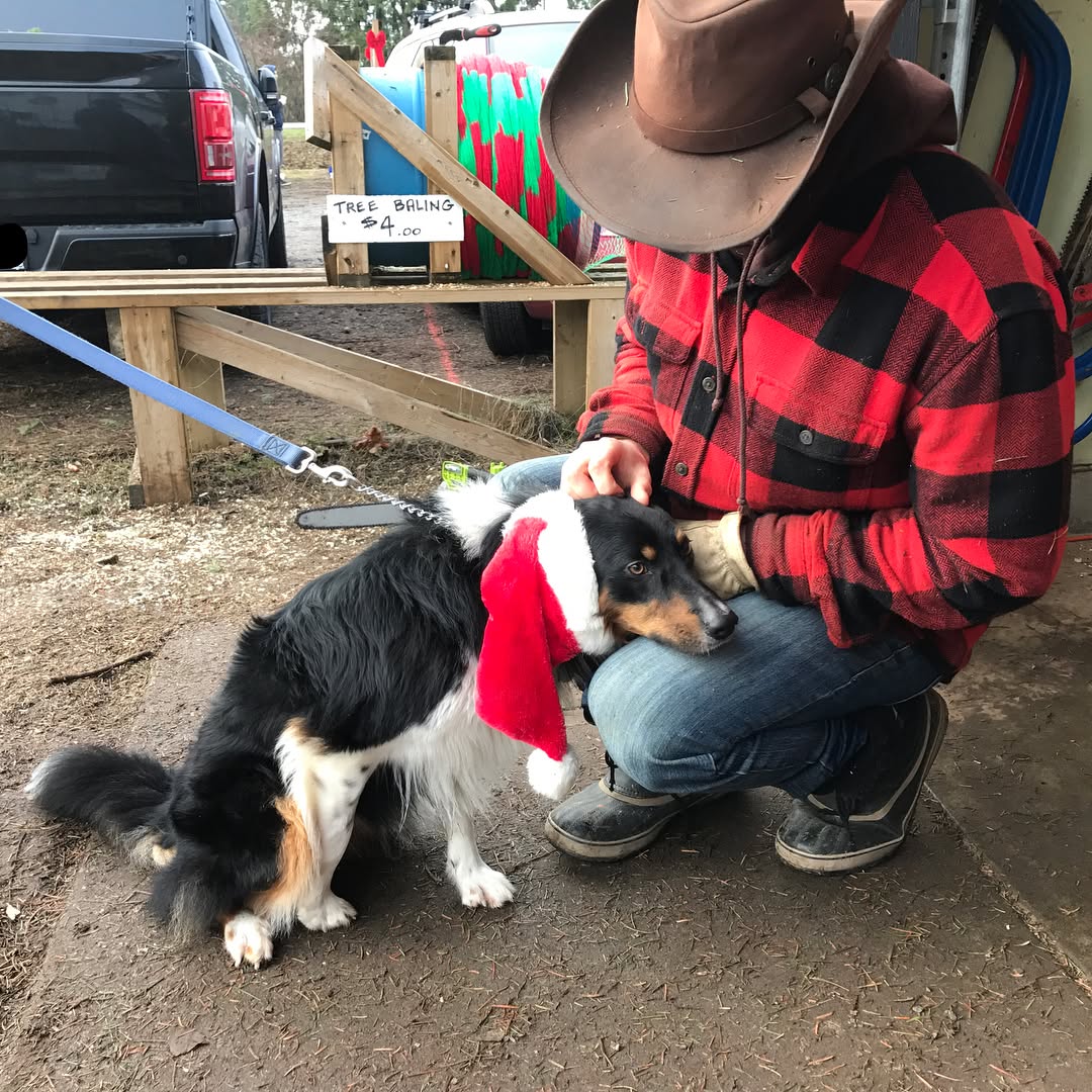 Dogs love our Farm and often dress up for the adventure
#fernridgetrees