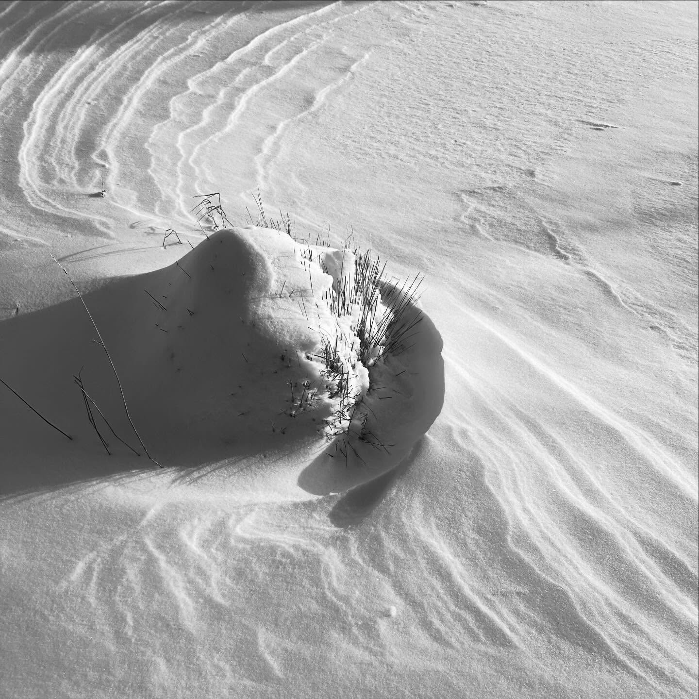 T H E W I N D B L O W S
and my mind flows
like drifting snow,
starting then stopping,
and starting again,
over and over,
a beautiful formation
of thought.
#mwordsphoto