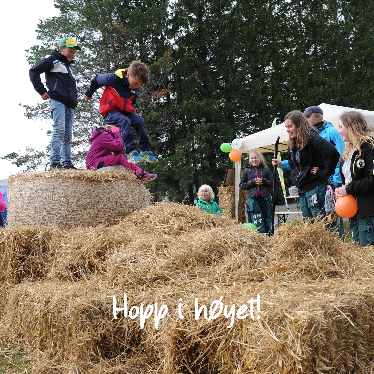 3 dager igjen til dere kan oppleve dette og mye mye mer!🚜🐖🥨🎮 Tips en venn om alt som skjer på Frigården til helgen!👇