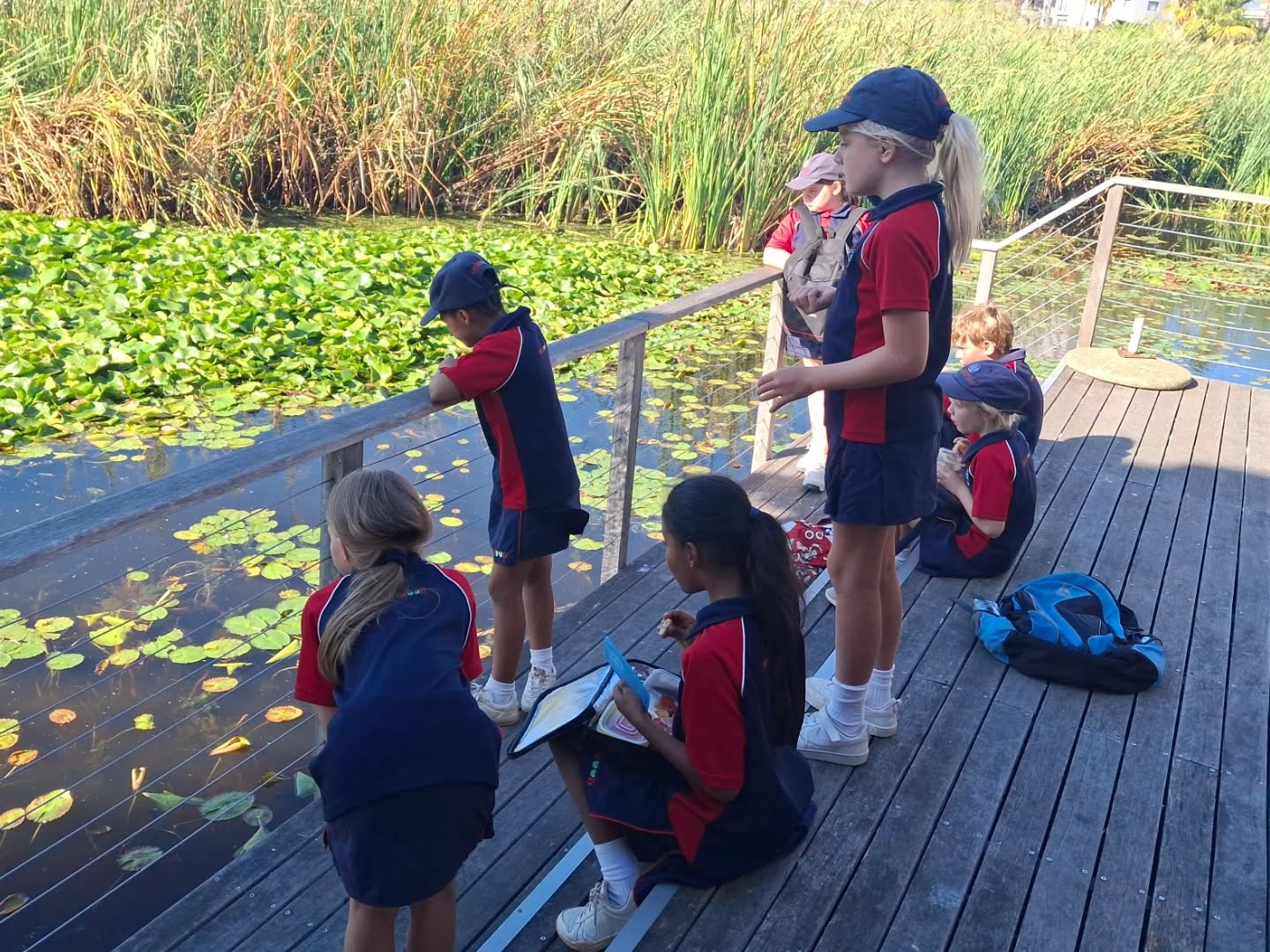 Our Grade 3 learners enjoyed an exciting visit to Intaka Island where learning came alive in nature. They took part in a scavenger hike, discovering different plants and birds along the way, followed by an engaging activity exploring food chains and how ecosystems are connected. The day ended with a peaceful boat ride where learners had the opportunity to observe the rich birdlife of the wetland. A wonderful day of curiosity, exploration, and outdoor learning.
#GoodRootsGoodFruits #NurturingPotentialInspiringGreatness #OutdoorLearning #EnvironmentalAwareness #LearningBeyondTheClassroom