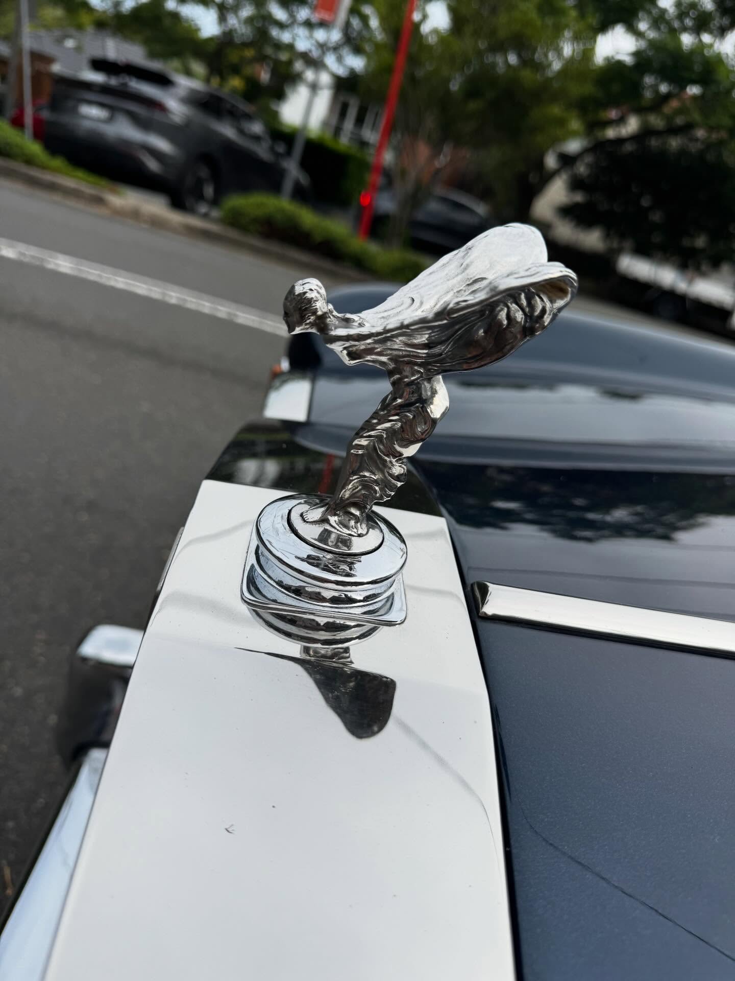 💠💎 #thespiritofecstasy 💠💎