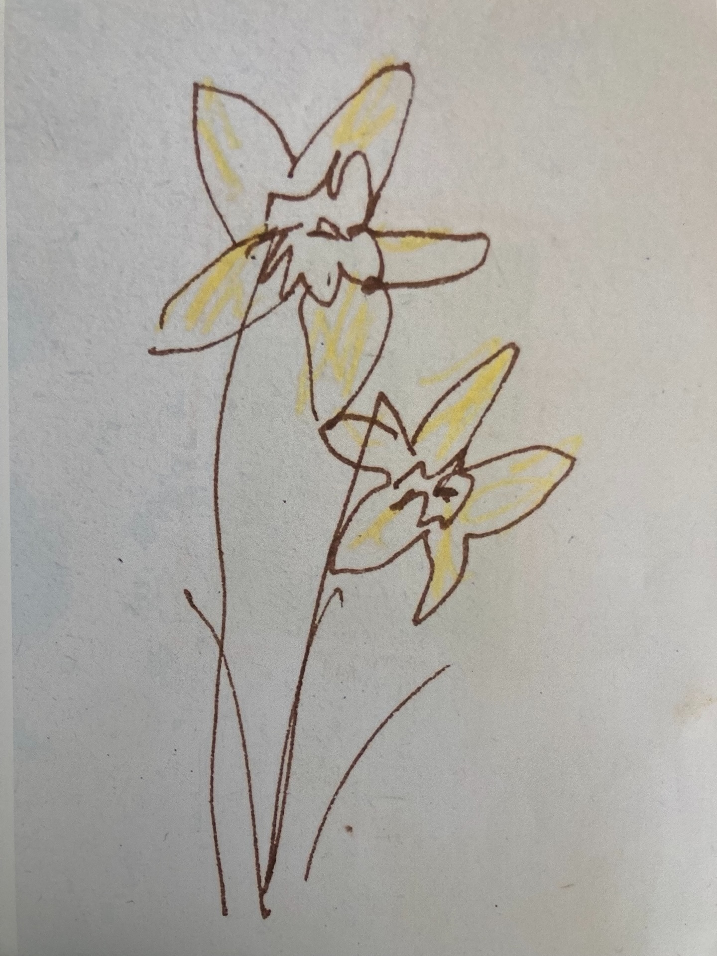 10 second sketch by a seven year old.
Beyond wow.