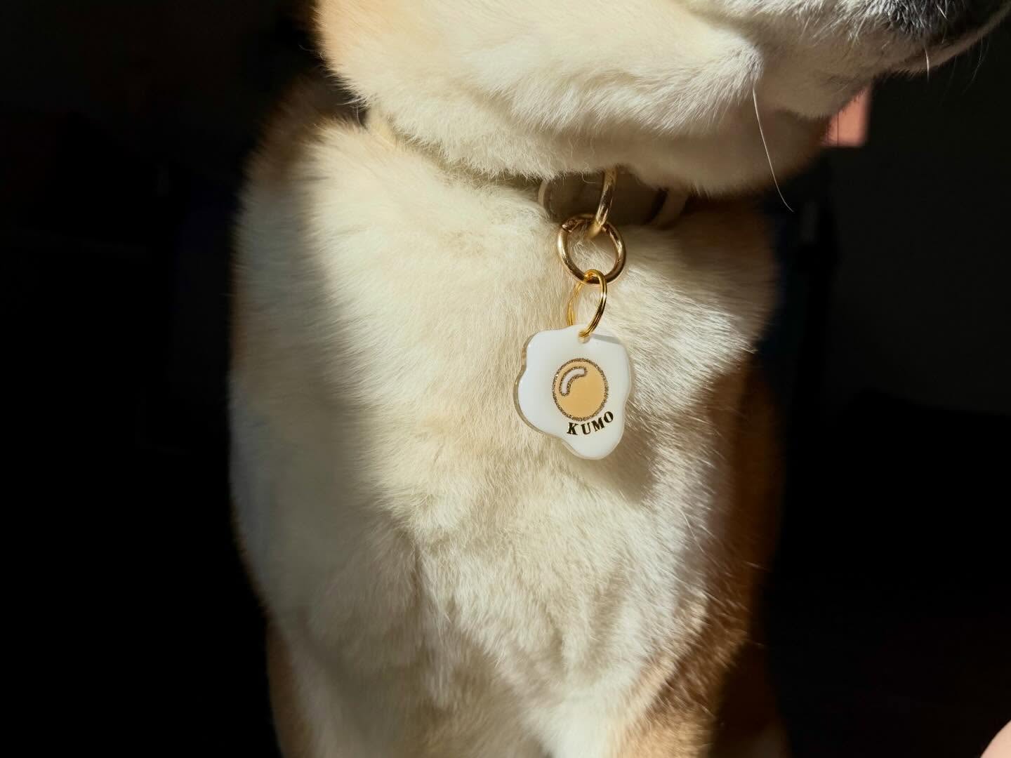Rayon de soleil + médaille = combo parfait ✨
Quand la lumière vient se poser sur les médailles, tout change.
Les détails brillent, les couleurs prennent vie… et on dirait presque de petits bijoux autour de leur cou.
Une médaille qui ne sert pas seulement à être utile, mais aussi à être stylé 👀✨, parce que nos chiens méritent aussi leur petit éclat au soleil
#medaille #accessoirechien #dogaccesories #medaillechien #resin