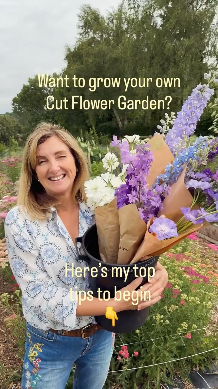 Read on for my top tips. You really can have buckets of blooms to cut yourself, you can make fresh bouquets to give and fill your vases at home with flowers this summer. Imagine the colour, scent and cutting flowers in the sunshine. Make it happen this year! Here’s my beginner tips to help you grow as I do, so follow along and do ask me any flowery questions 🌸
Seeds
•☀️Daylight- before you sow any seeds wait until your region returns to 10 hours of daylight. Look up your region here
https://www.timeanddate.com.
I will start sowing my hardy annual seeds 16th February. This is why March is such a prime time to sow seeds.
•🌱Buy fresh seed to ensure good germination. Dont sow the whole packet at once. Sow a few seeds of the same pack every 3 weeks so you get a steady succession of flowers over summer. Keep them in a greenhouse or in a plastic box with lid outside. Take the lid off during the day.
•🌸Remember to buy and sow seeds for flowers and foliage - you need both for beautiful vases and bouquets.
•🫧use clean seed trays, fresh seed or multi purpose compost and read seed packets. Some seeds need light to germinate ( so don’t cover them with soil) others prefer the dark so cover with soil.
I’m sowing these hardy annuals from 16th Feb:
Larkspur
Calendula
Corncockle
Orlaya
Antirrinums (snap dragons - lots of these!)
And for foliage:
Salvia viridis
Mint
Ammi Majus and Visnaga
I’ve learnt so much as a newbie flower farmer. Literally going from total beginner. There’s so much knowledge now rattling in my head. So if you have a question pls ask me 😃 Happy sowing!