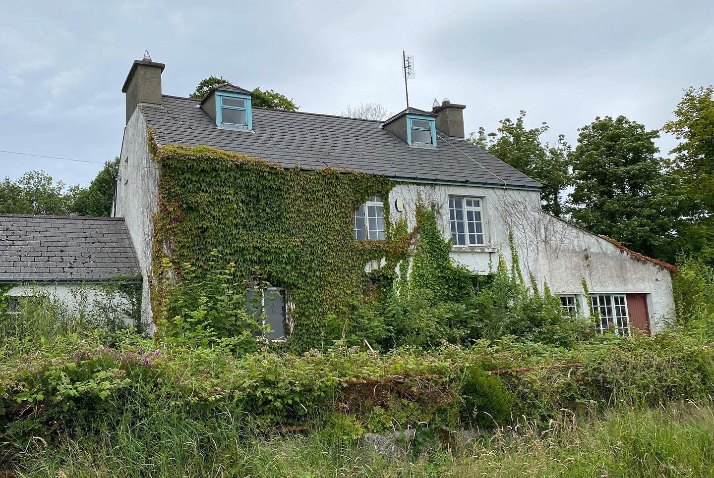 Great to get started on site this week for this total renovation and extension of this old dwelling on the seafront 🌊 follow us for updates as the project progresses!
#conservation
#renovation
#extension
#architectureireland
#wildatlanticway