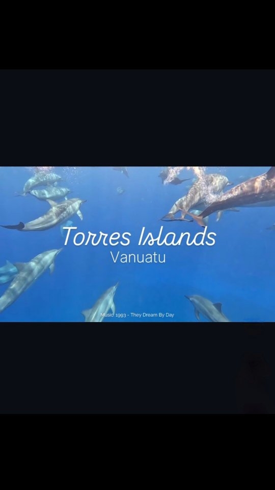 Ever had the chance to swim with a school of dolphins? 🐬
After watching them jump out of the water to keep up with our (kind of slow) dinghy, we slipped into the ocean — and suddenly they were everywhere.
Curious, fast, completely wild.
We had this moment at our last stop in Vanuatu:
Yeu Metenia Bay, Hiu — Torres Islands. 🌊
Read the whole story on our blog:
https://www.yumyum.ch/post/im-reich-der-giganten
🎵 1993 - They Dream By Day