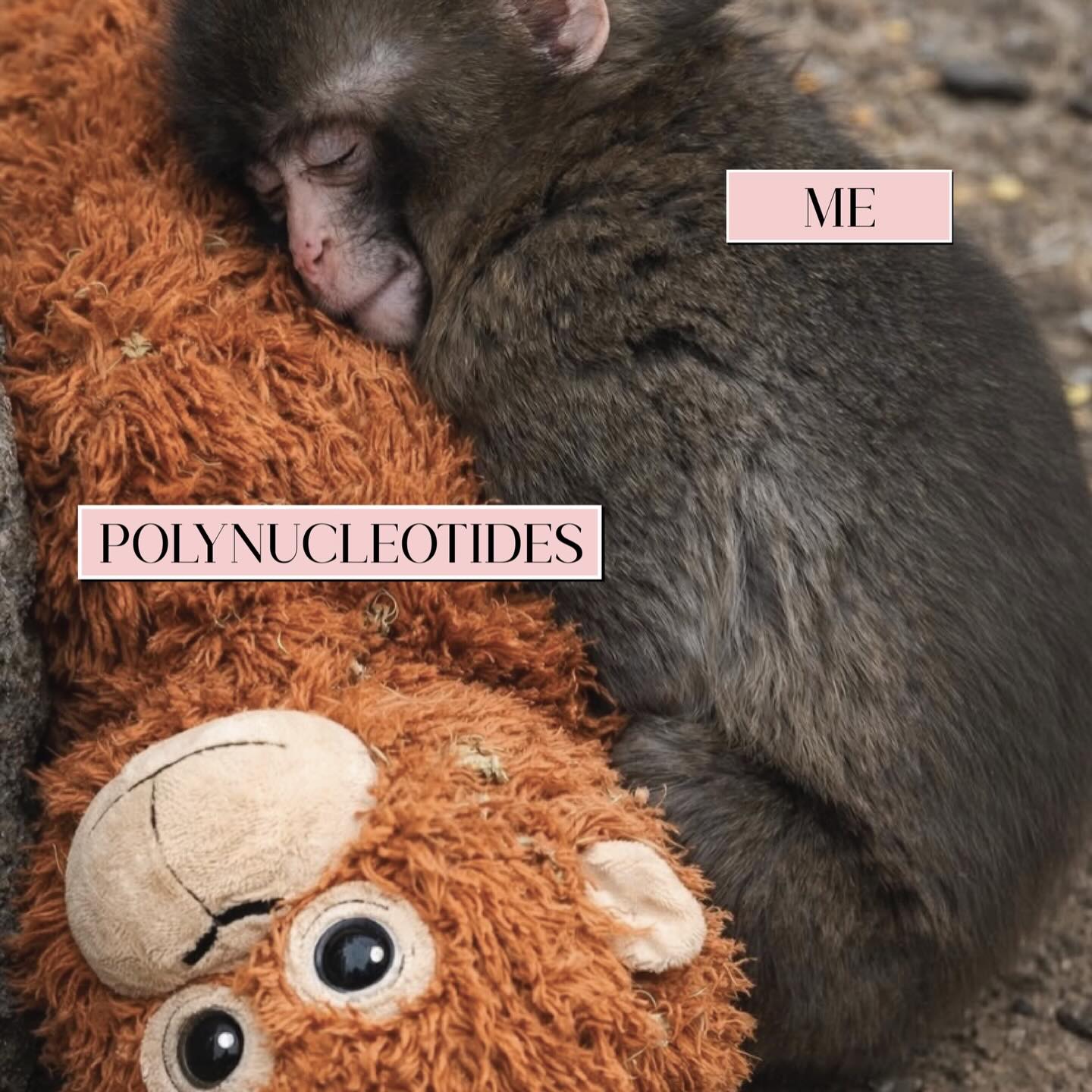 ⠀
Relatable punch feels 🥹🩷
__________________________
Get in touch 👇🏽
𝐃𝐌 𝐔𝐒 𝐅𝐎𝐑 𝐄𝐍𝐐𝐔𝐈𝐑𝐈𝐄𝐒
GIFT VOUCHERS AVAILABLE
SWIPE FOR CLINIC DATES
⭐️ 5 STAR GOOGLE REVIEWS
💻 www.archedaesthetics.co.uk
📱 𝗪𝐇𝐀𝐓𝐒𝐀𝐏𝐏 07517416782
📧 hello@archedaesthetics.co.uk