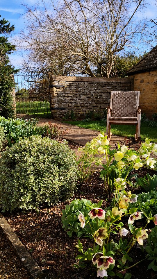 Hello sunshine! Hello dreamy moments in the garden!
Is that a collective sigh of relief I hear? There's no denying what a difference a little bit of sunshine can make โ๏ธ
This beautiful garden in Northamptonshire is showing how inviting our gardens can be even when there's still a slight chill in the air. Evergreen Pittosporum, hellebores and fresh emerging foliage ensure that the borders never look bare at any time of year.
Fingers crossed everyone has a chance to get outside and absorb some sunshine this week.
๐ฟ๐ฟ๐ฟ๐ฟ๐ฟ
About: Nicola Oakey designs gardens across Rutland, Northamptonshire, Leicestershire and Lincolnshire. A self-confessed plantaholic, her gardens are always filled with 365 days of colour and interest.