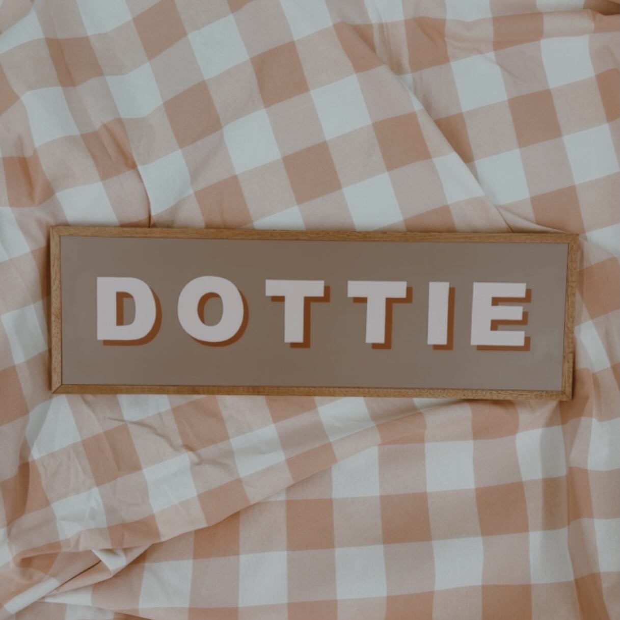 great colour choices on this little girls name sign ♥️
.
.
.
.
#customsigns #namesigns #girlsbedroomdecor #signwriter #girlsnames