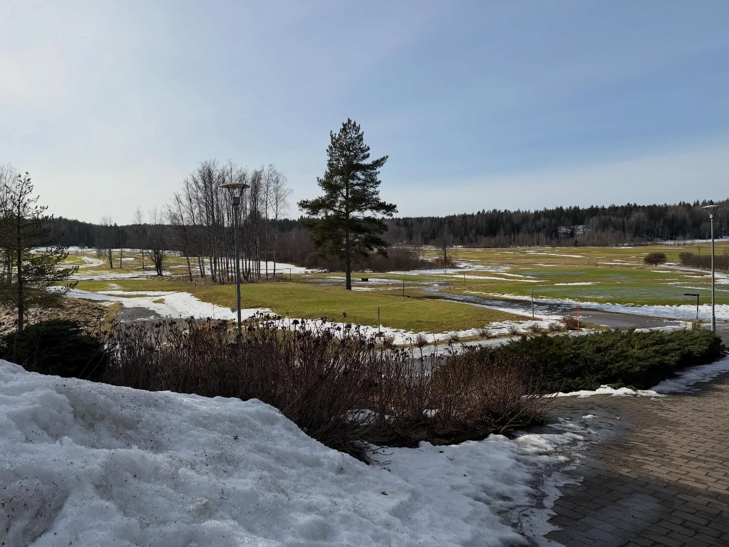 Päivän tilanne. 😎